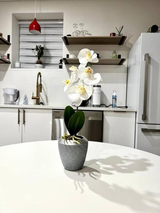 Luxury And Cozy 1 Bed Condo In The Heart Of Providence Esterno foto